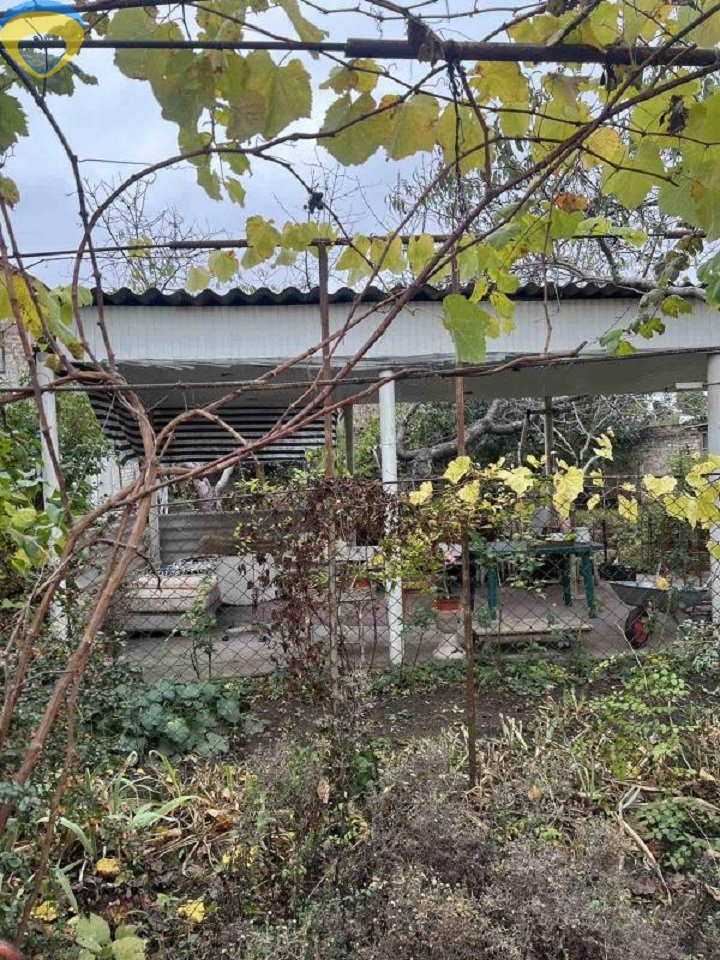 продажа дома номер H-173533 в Приморском районе, фото номер 6